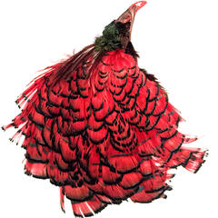 Amherst Pheasant Head No.2 - Dyed Red Diamantfasan komplett hode