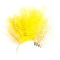 Barred CDC - Yellow Stripete cdc-fjær fra Veniard