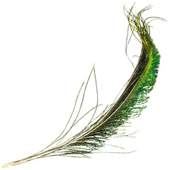 Peacock Swords Påfuglsverd fra Veniard