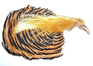 Golden Pheasant Complete Head Helt fasanhode