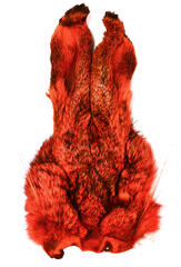 Veniard Hare Mask Orange