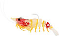Westin Salty The Shrimp R'N R 18g Hot Shrimp - 10cm - 3-pack