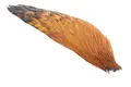 Whiting 1/2 American Rooster Cape Brown