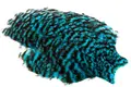 Whiting American Hen Cape Grizzly Silver Dr. Blue