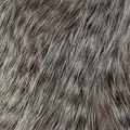 Whiting Bird Fur Grizzly