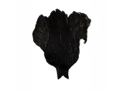 Feathermaster Rooster Cape Black Black