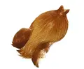 Feathermaster Rooster Cape Ginger Medium Ginger