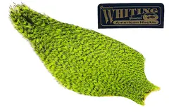 Whiting American Hen Cape Grizzly Chartreuse