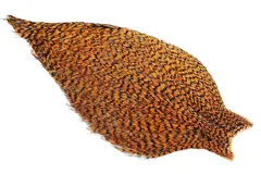 Whiting American Rooster Cape Grizzly Shrimp Orange