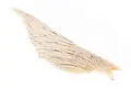 Whiting Dryfly Cape 1/2 White Pro Grade