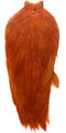 Whiting American Rooster Cape White/Burnt Orange