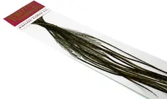 Whiting 100's Saddle Grizzly #16 Grizzly dyed Dark Olive krok #16