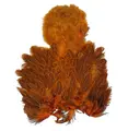 Whiting Coq De Leon Hen SH/C Burnt Orange, Speckled dyed