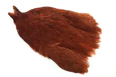 Whiting Hen Cape Fiery Brown