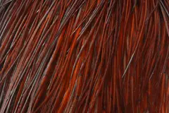 Whiting Silver Cape White dyed Brown Lange fibere og utrolig tette fjær