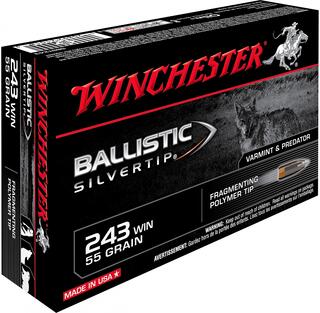 Winchester .243 WIN Ballistic Silvertip 55 grain - 20-skudd